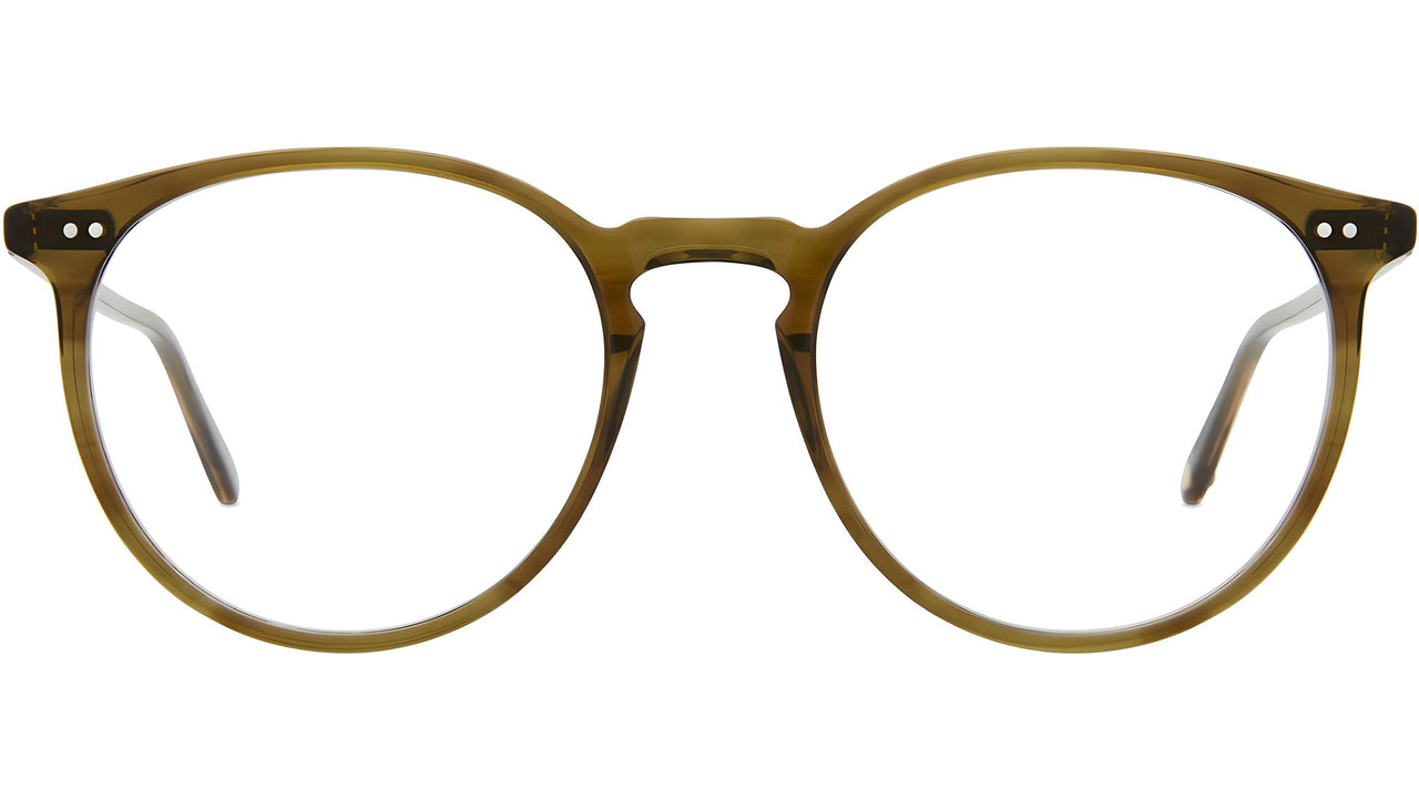 Morningside Olive Tortoise