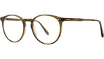 Morningside Olive Tortoise