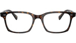 Nisen OV5446U dark tortoise