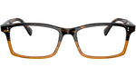 Myerson OV5494U tortoise