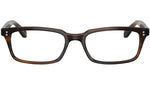 Denison OV5102 1724 Tuscany Tortoise