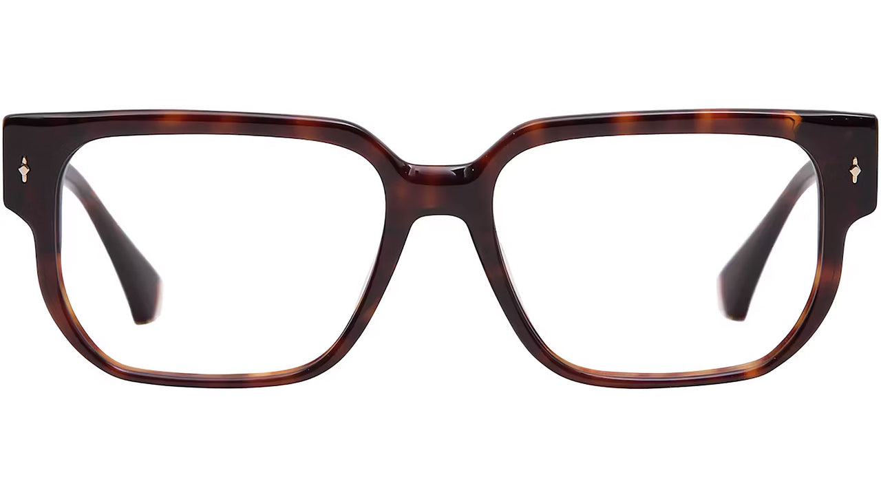 Waters 6551 2 Tortoise