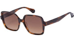 Giada 6950 2 Tortoise