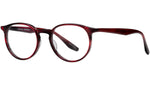 Norton BP5043 2OK cabernet tortoise