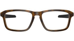 Quad Out OY8023 03 Satin Brown Tortoise