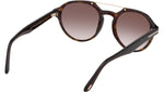 Stan FT0696 52H Dark Havana Brown