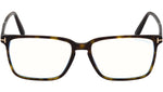 FT5696-B 052 Dark Havana