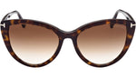 Isabella-02 FT0915 52F Dark Havana Brown