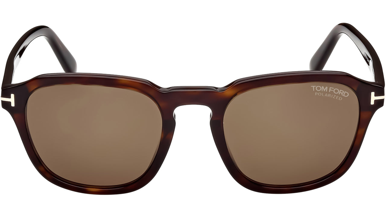 Avery FT0931 52H Havana Brown