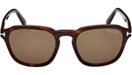 Avery FT0931 52H Havana Brown