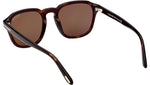 Avery FT0931 52H Havana Brown