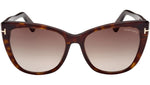 Nora FT0937 52K Dark Havana Roviex