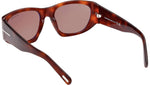 Cyrille-02 FT0987 53E Brown Havana Brown