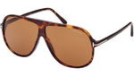 Spencer-02 FT0998 52E Dark Havana Brown