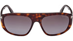 Edward 02 FT1002 52B Tortoise