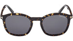 Jayson FT1020 52A Dark Tortoise