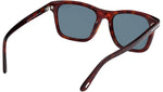 Barron FT1179 54V Red Havana Blue