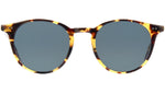 Clune Sun Dark Tortoise