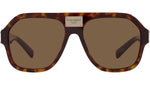 DG 4433 502/73 Tortoise Brown