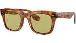 Mr. Brunello OV5497SU tortoise