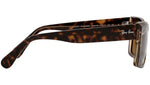 Inverness RB2191 129257 havana on transparent brown