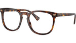 PH4214 613773 Brown Tortoise