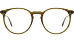 Morningside Olive Tortoise