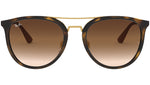 RB4285 tortoise and brown