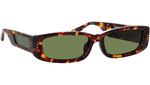 Talita C2 Tortoiseshell