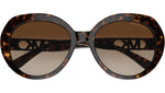 San Lucas MK2214U 300613 Dark Tortoise