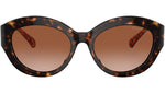 Brussels MK2204U 300613 Dark Tortoise