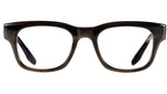 Yarner BP5293 2QQ everglade tortoise