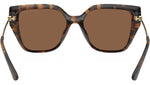 St. Barths MK2231U 30063G Dark Tortoise