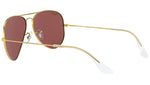 Aviator Classic RB3025 9196AF Gold Violet