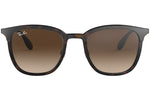 RB4278 brown matte havana