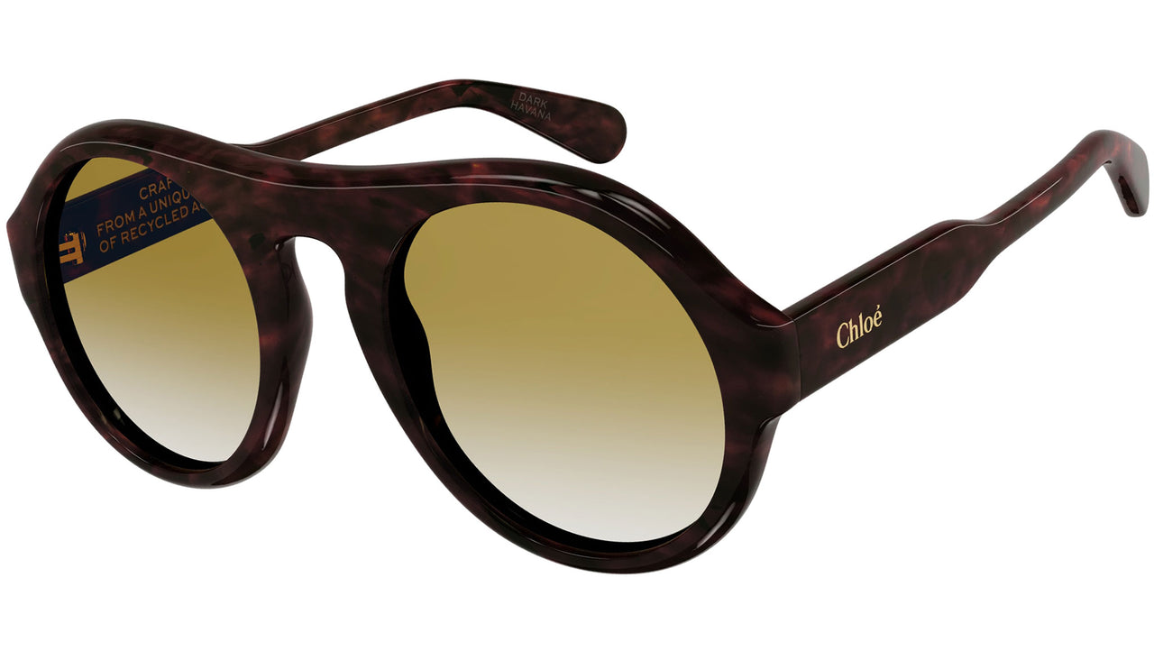 CH0151S 002 tortoise brown