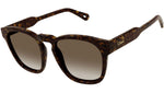 CH0160S 002 tortoise brown