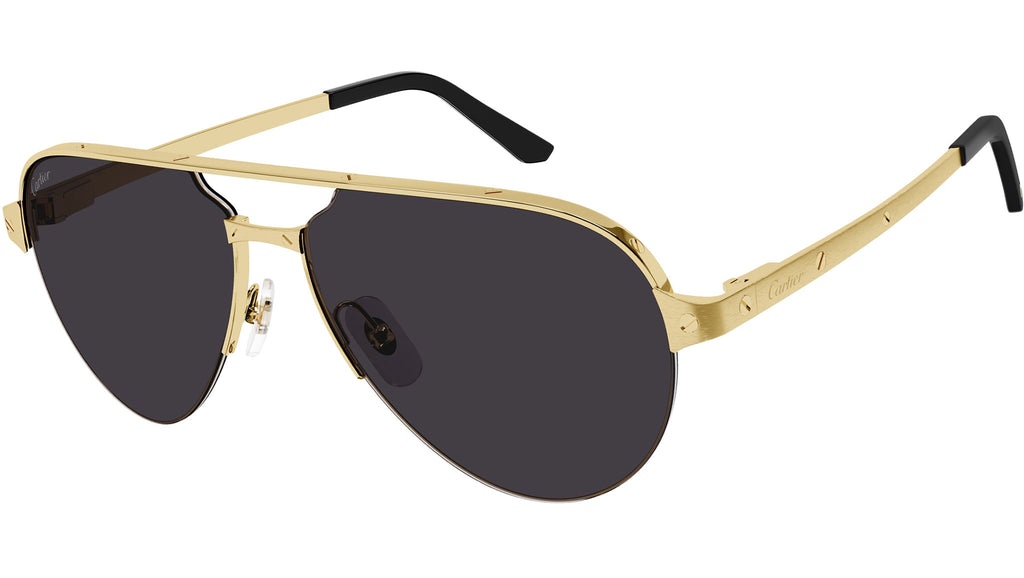 pesado Extinto estante Cartier CT0386S 001 Gold Sunglasses