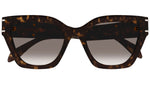 AM0398S 002 tortoise brown