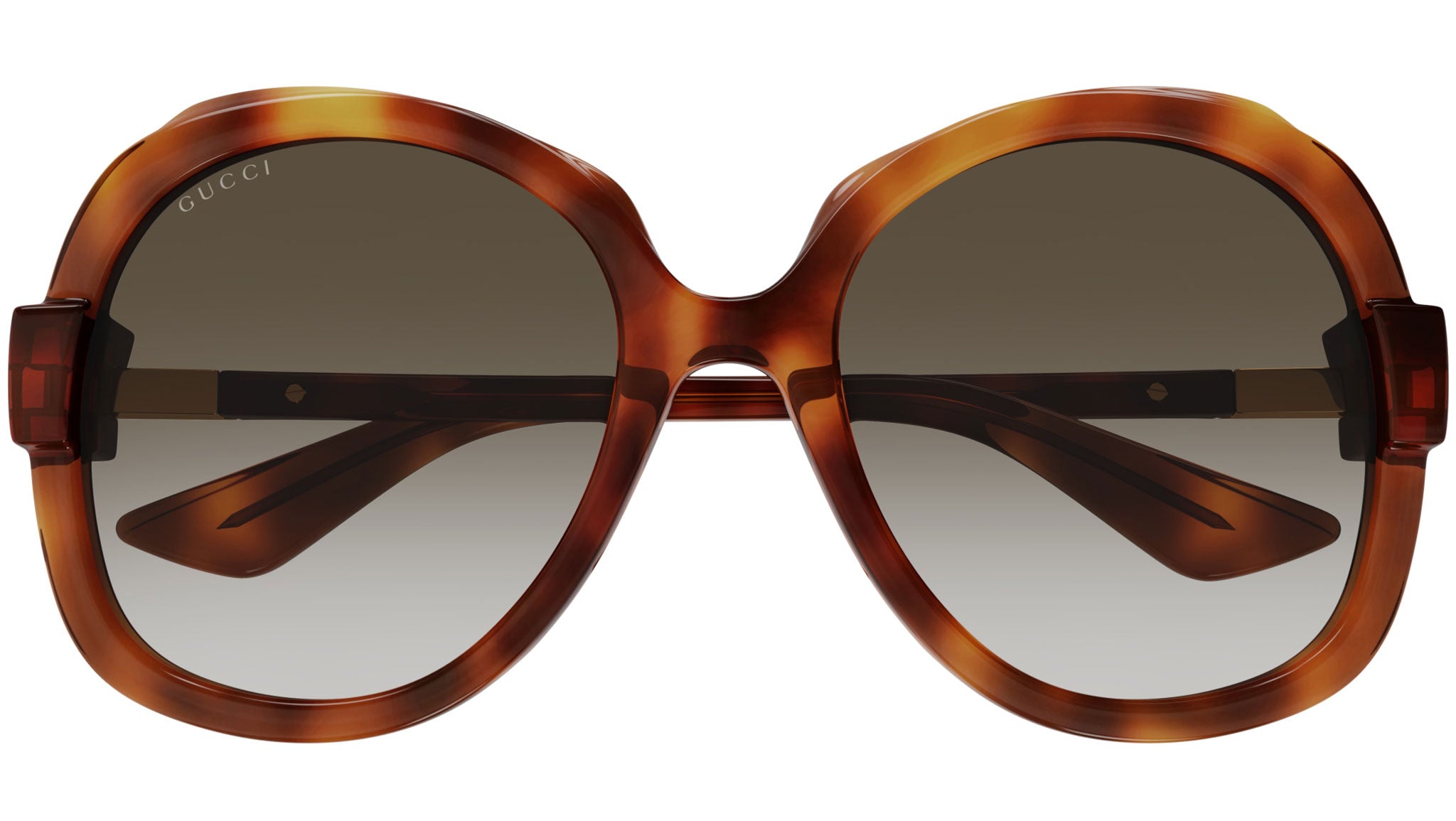 Tortoiseshell Glasses in Brown - Gucci