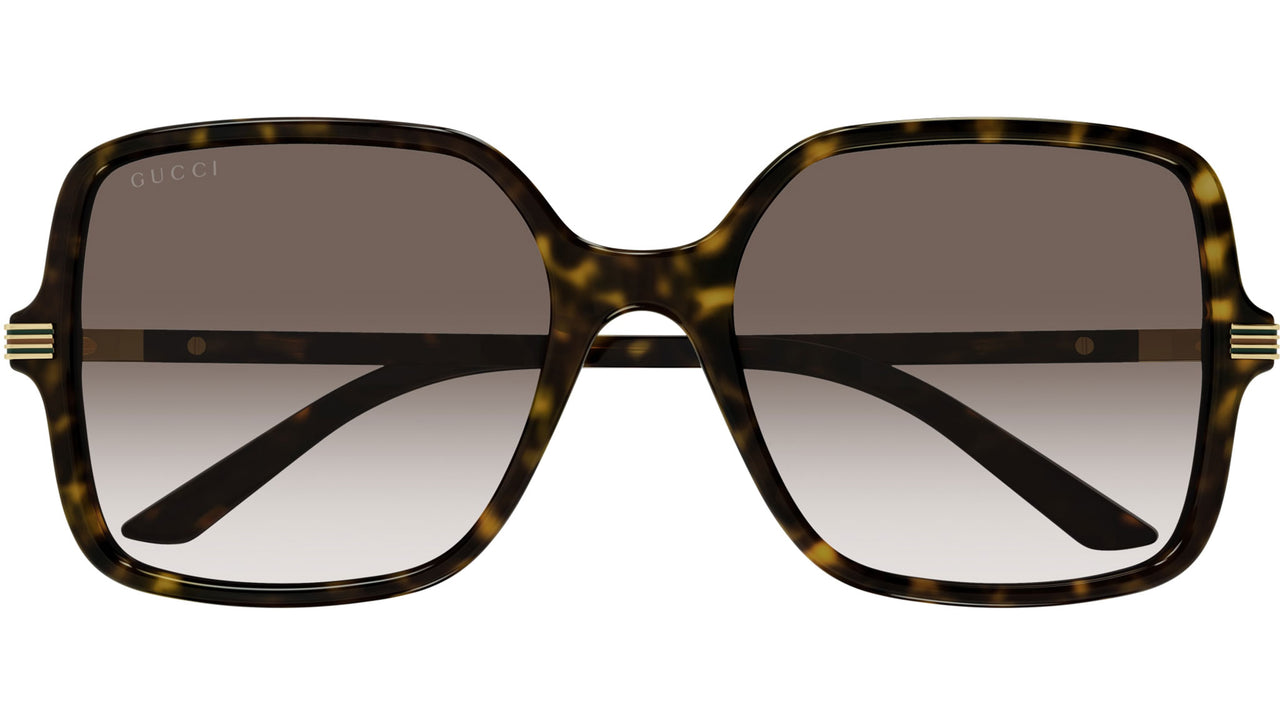 GG1449S 002 Tortoise Brown