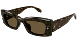 AM0426S 002 Tortoise Brown