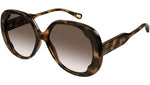 CH0195S 002 Tortoise Brown