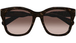 CH0194SK 002 Tortoise Copper