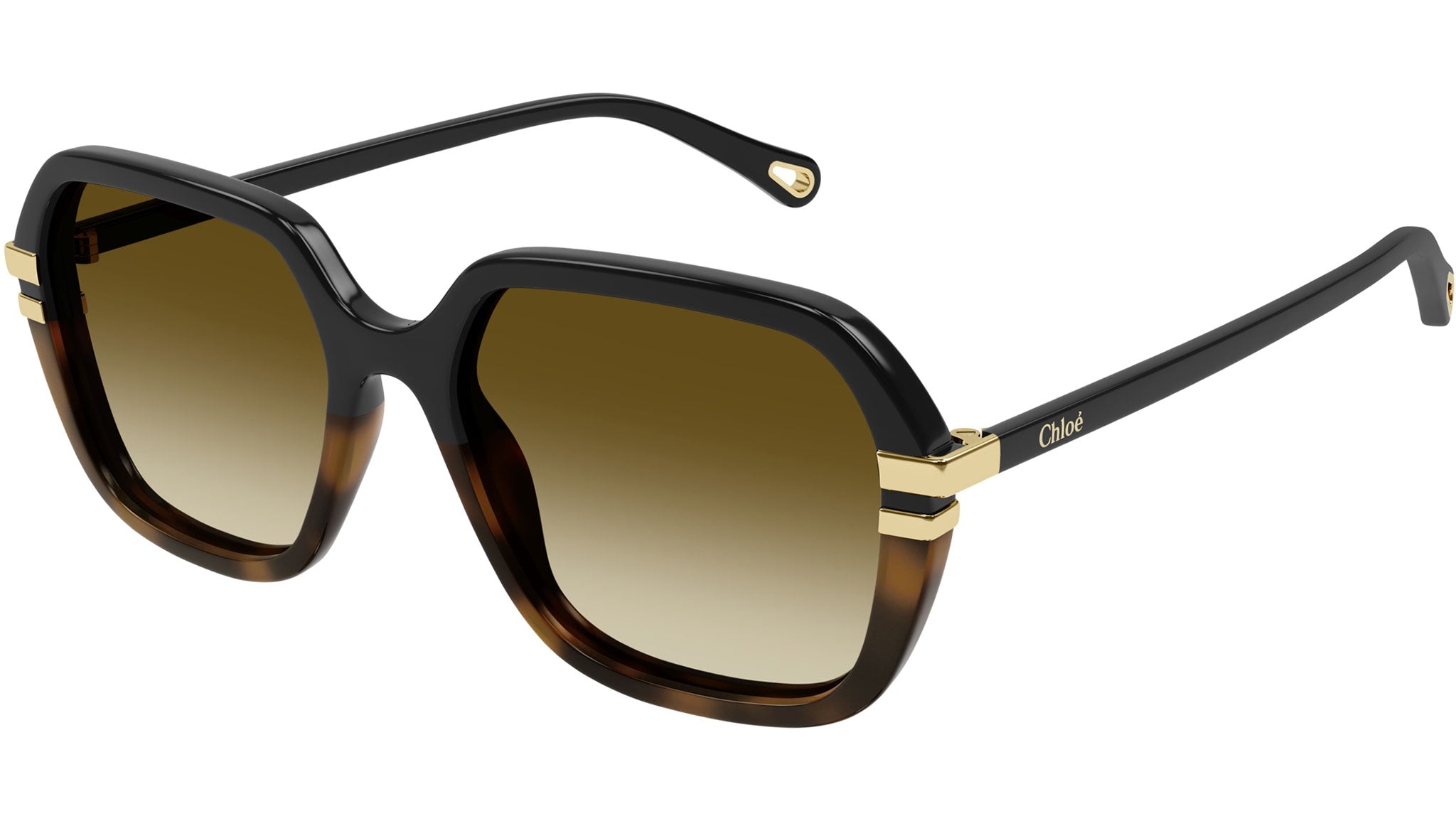 Chloé CH0204S 003 Sunglasses Shiny Black