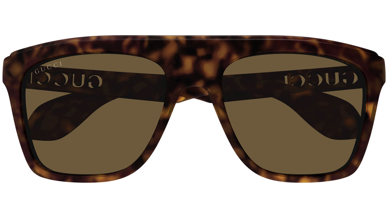 GG1570S 002 Havana Brown