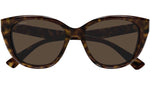 GG1588S 002 Havana Brown