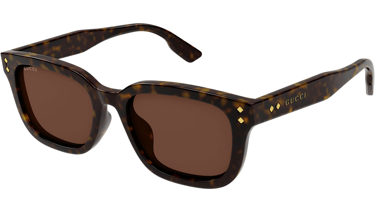 GG1605SK 002 Havana Brown