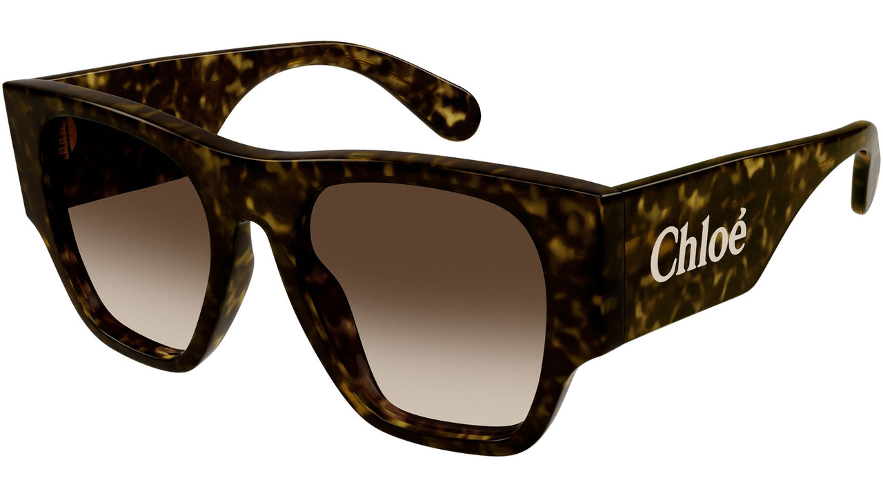 CH0233S 002 Tortoise Brown