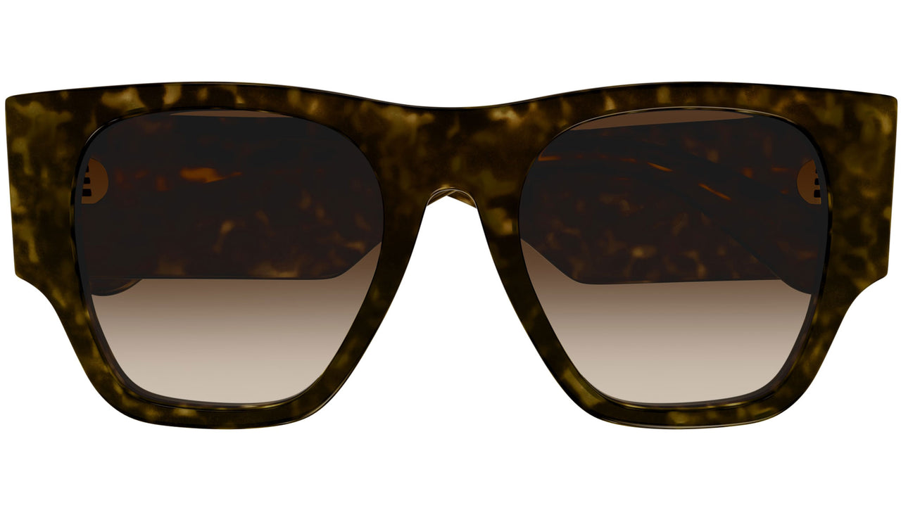 CH0233S 002 Tortoise Brown